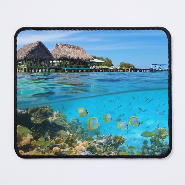 Item preview, Tropical restaurant and coral reef Caribbean sea designed and sold by Seaphotoart.