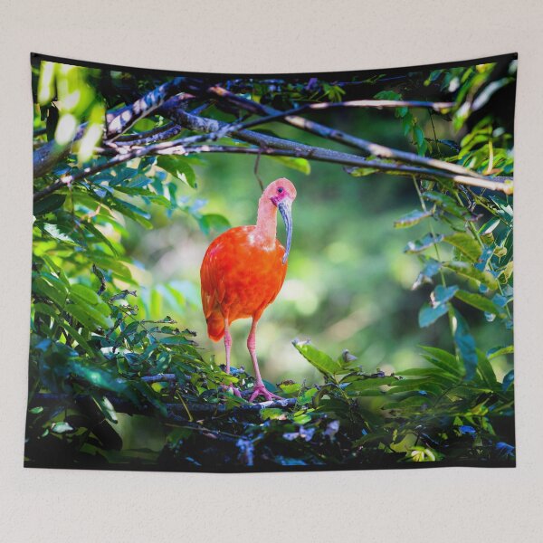 Item preview, scarlet ibis designed and sold by Gaël FONTAINE.