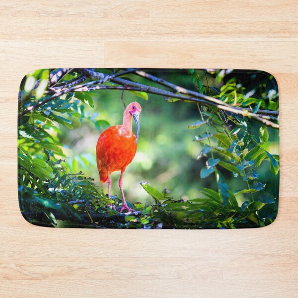 Item preview, scarlet ibis designed and sold by Gaël FONTAINE.