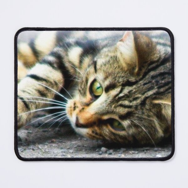 Item preview, tabby cat laying designed and sold by Francespoppy.