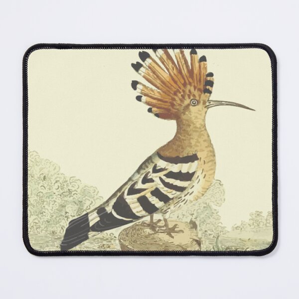 Item preview, Hoopoe in Nature designed and sold by samwash.