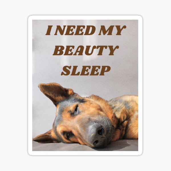 "I need my beauty sleep Alsatian (German Shepherd) sleeping" Sticker