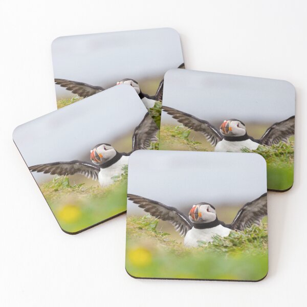Item preview, Atlantic Puffin designed and sold by heidipics.