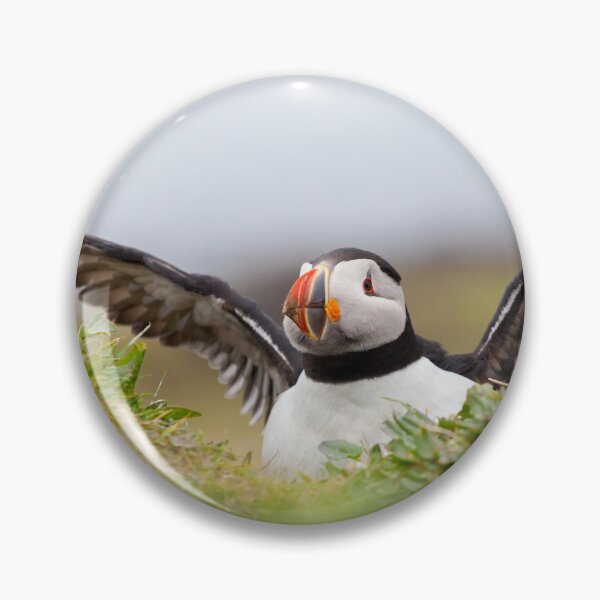 Item preview, Atlantic Puffin designed and sold by heidipics.