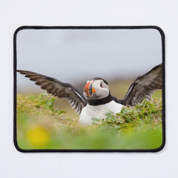 Item preview, Atlantic Puffin designed and sold by heidipics.