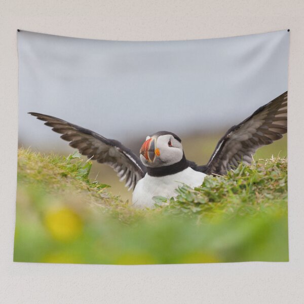 Item preview, Atlantic Puffin designed and sold by heidipics.