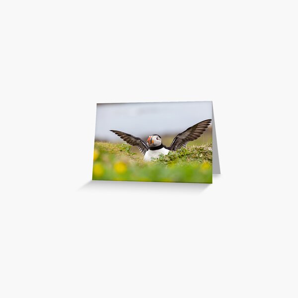 Item preview, Atlantic Puffin designed and sold by heidipics.
