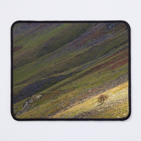 Item preview, Solitary Tree on the Hillside designed and sold by heidipics.