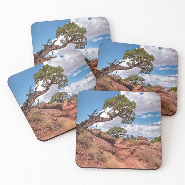 Item preview, Tortured Tree, Canyonlands. designed and sold by Viv Thompson Photography .
