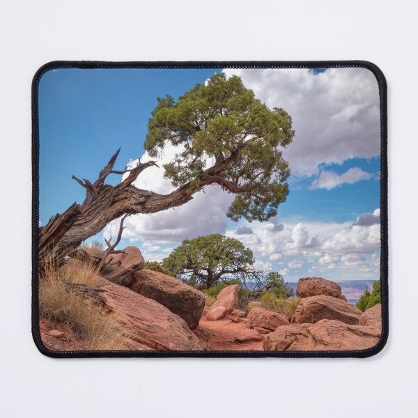 Item preview, Tortured Tree, Canyonlands. designed and sold by Viv Thompson Photography .