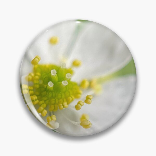 Item preview, Stellaria designed and sold by Jason Tompkins.