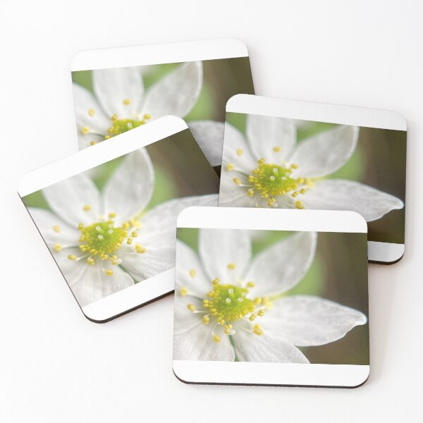 Item preview, Stellaria designed and sold by Jason Tompkins.