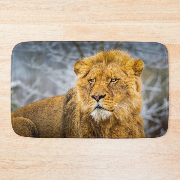 Item preview, The gaze of the lion designed and sold by Gaël FONTAINE.