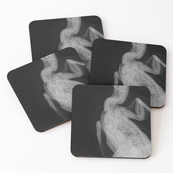 Item preview, Rooster X-ray designed and sold by Daniel Tuttle.