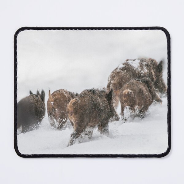 Item preview, wild boar herd designed and sold by Ingo Gerlach.