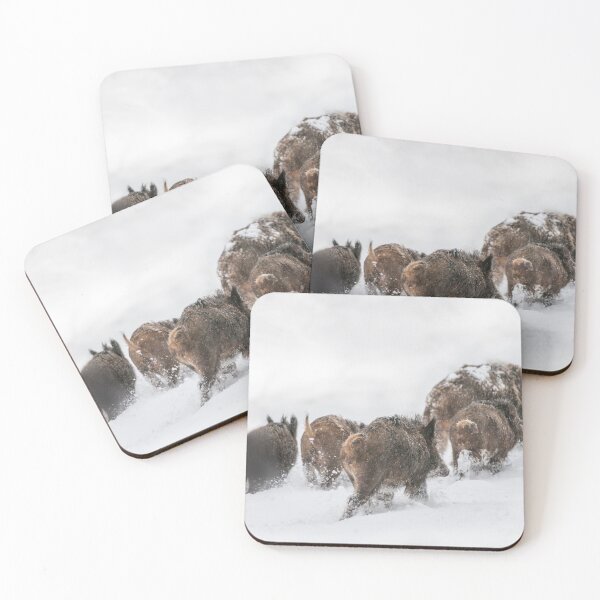 Item preview, wild boar herd designed and sold by Ingo Gerlach.