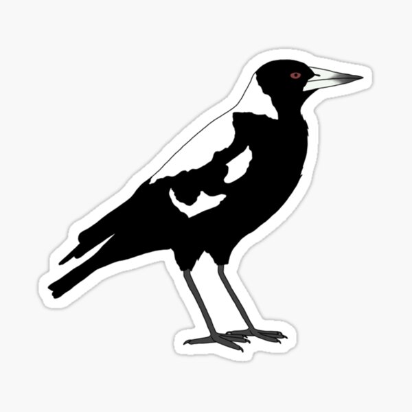 Item preview, Australian Magpie    designed and sold by anselmleighton.