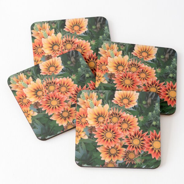 Item preview, Gazanias in Canberra Photograph designed and sold by Heatherian.