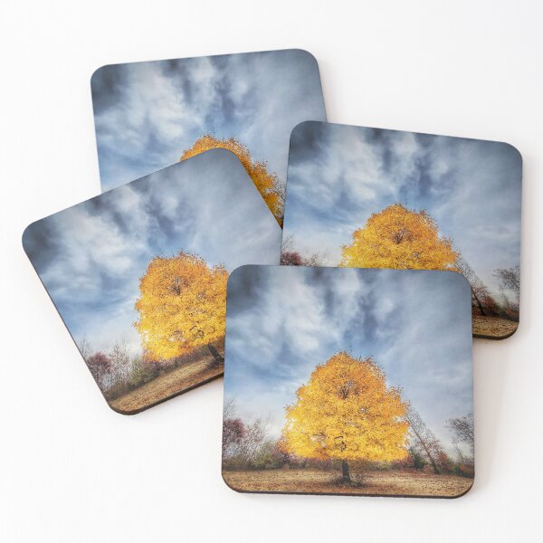 Item preview, Fall tree, Kimball Pines park, Battle Creek, Michigan  designed and sold by Rocco Goff.