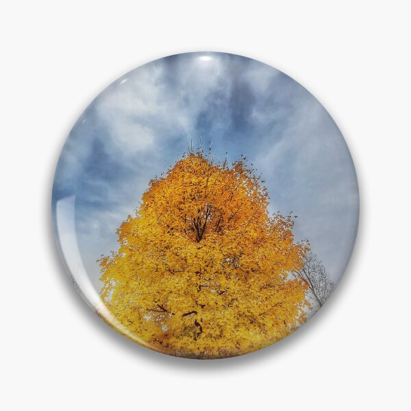 Item preview, Fall tree, Kimball Pines park, Battle Creek, Michigan  designed and sold by Rocco Goff.