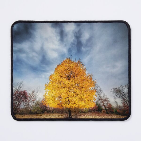 Item preview, Fall tree, Kimball Pines park, Battle Creek, Michigan designed and sold by Rocco Goff.