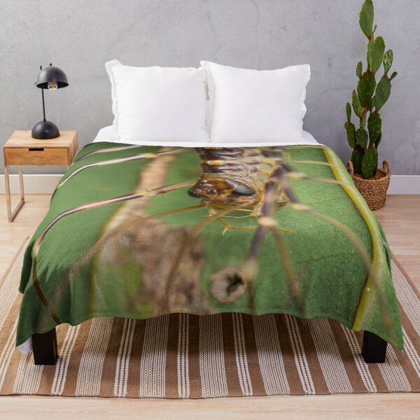 Item preview, A fierce looking house centipede (Scutigera coleoptrata) designed and sold by AvonPerception.