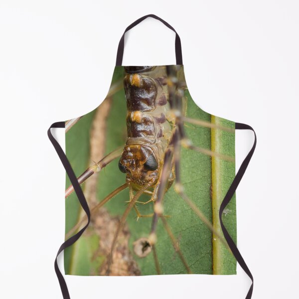 Item preview, A fierce looking house centipede (Scutigera coleoptrata) designed and sold by AvonPerception.