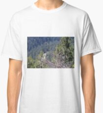 Brush Classic T-Shirt