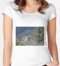 Brush Women's Fitted Scoop T-Shirt