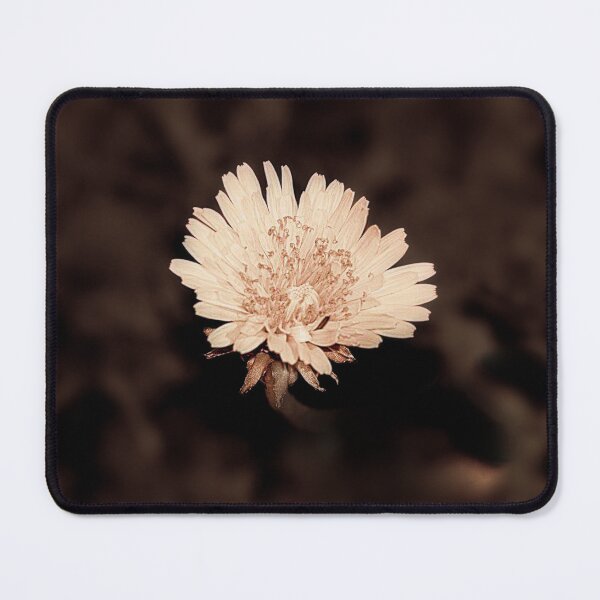 Item preview, dandelion head designed and sold by Francespoppy.