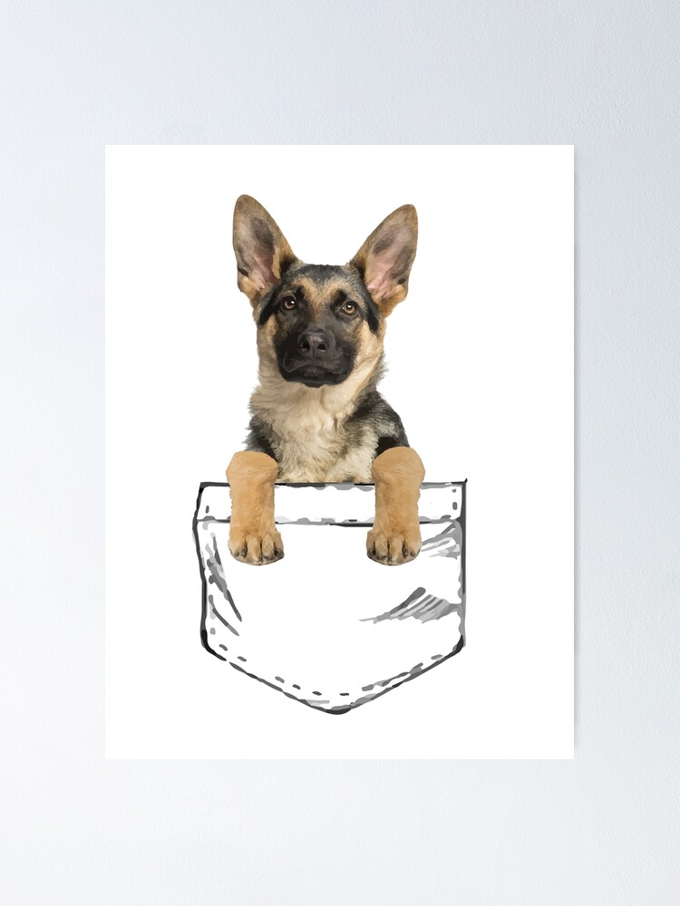 Pocket best sale german shepherd