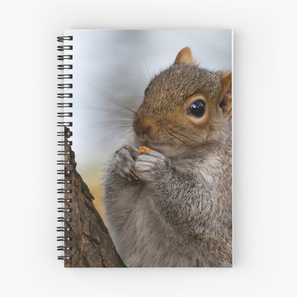 Item preview, Squirrel posters art prints t-shirts phone cases mugs etc designed and sold by craigewmcg123.