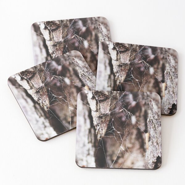 Item preview, spider web designed and sold by Jodie Cooper.