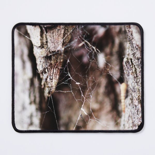 Item preview, spider web designed and sold by Jodie Cooper.