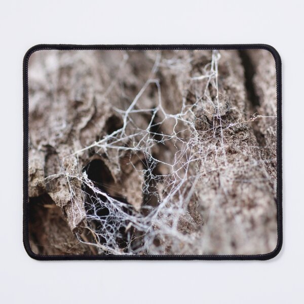 Item preview, spider web designed and sold by Jodie Cooper.