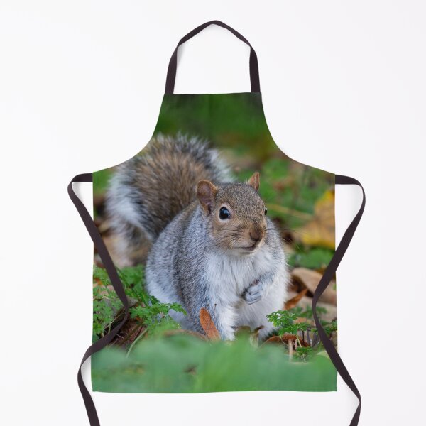 Item preview, Squirrel posters art prints t-shirts phone cases mugs etc designed and sold by craigewmcg123.