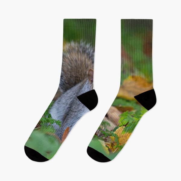 Item preview, Squirrel posters art prints t-shirts phone cases mugs etc designed and sold by craigewmcg123.