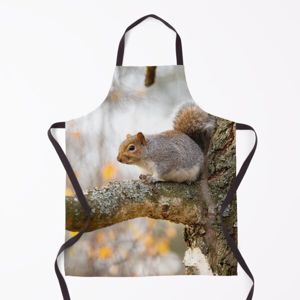 Item preview, Squirrel posters art prints t-shirts phone cases mugs etc designed and sold by craigewmcg123.