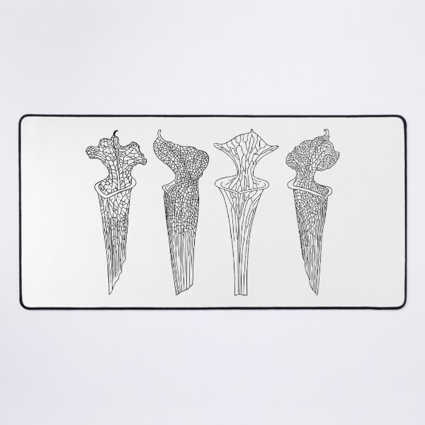 Item preview, Four Black Sarracenia Trumpet Pitchers  designed and sold by NepenthesArt.