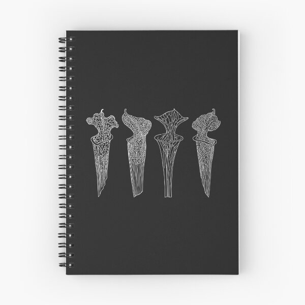 Item preview, Copy of Four Black Sarracenia Trumpet Pitchers  designed and sold by NepenthesArt.