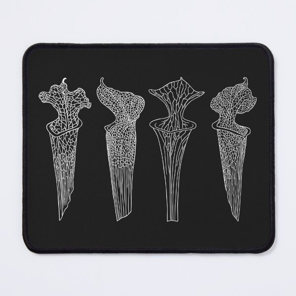 Item preview, Copy of Four Black Sarracenia Trumpet Pitchers  designed and sold by NepenthesArt.