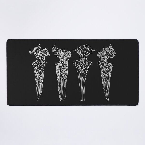 Item preview, Copy of Four Black Sarracenia Trumpet Pitchers  designed and sold by NepenthesArt.