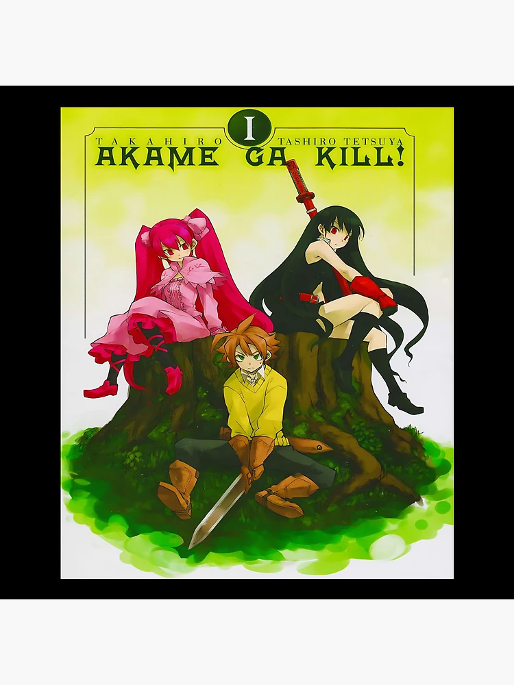 Pin by Mattia-Kun on Akame Ga Kill