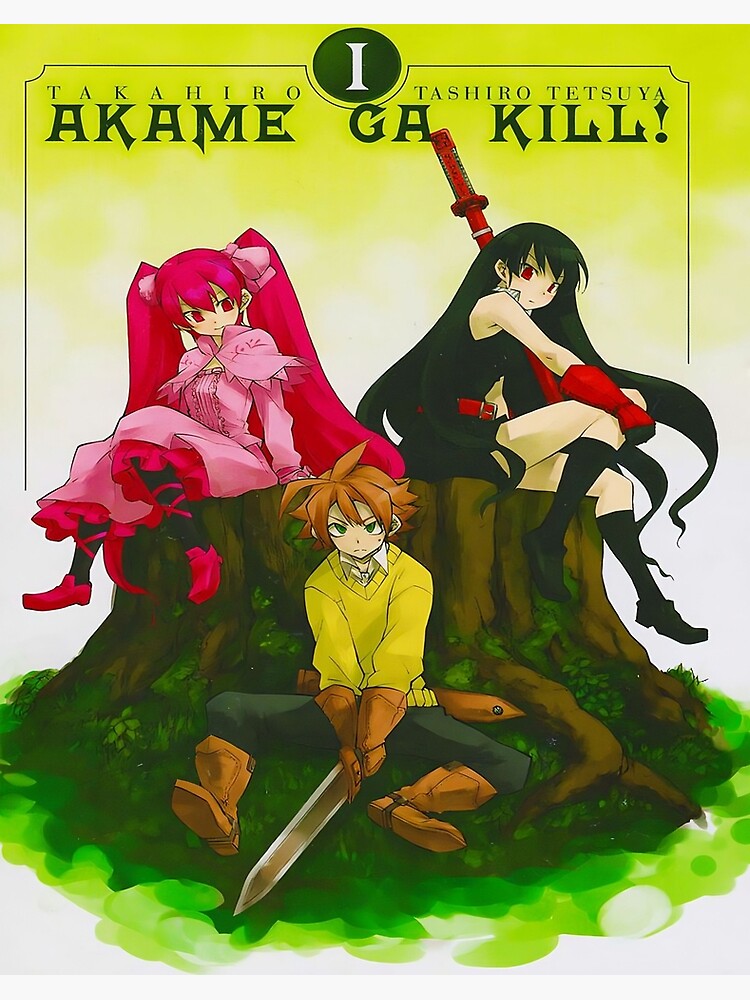 Akame ga Kill #13 Art Print