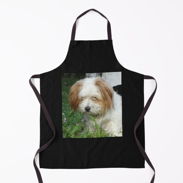 Item preview, "Lucca" The Maltipoo Maltese Dog Art Print nickbrayimages designed and sold by nickbrayimages.