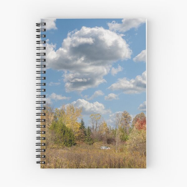 Item preview, Colores de otoño en Ontario designed and sold by Benjamin Gelman.