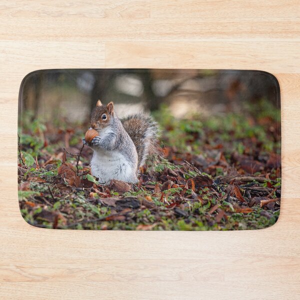 Item preview, Squirrel posters art prints t-shirts phone cases mugs etc designed and sold by craigewmcg123.
