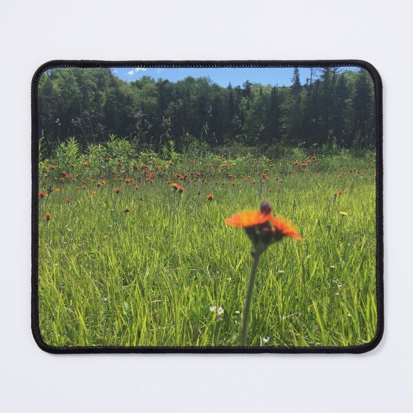 Item preview, Loner designed and sold by JDG Art & Design.