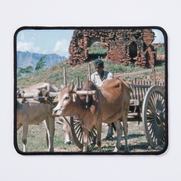 Item preview, 1970s - Scene of General Life in Bagan with a man and his bullock cart, Myanmar, Burma designed and sold by thatwaslife.