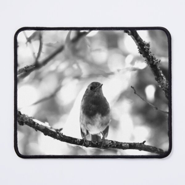 Item preview, robin black and white designed and sold by Francespoppy.